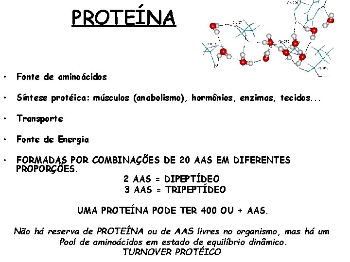 PROTEÍNA • Fonte de aminoácidos • Síntese protéica: músculos (anabolismo), hormônios, enzimas, tecidos. .