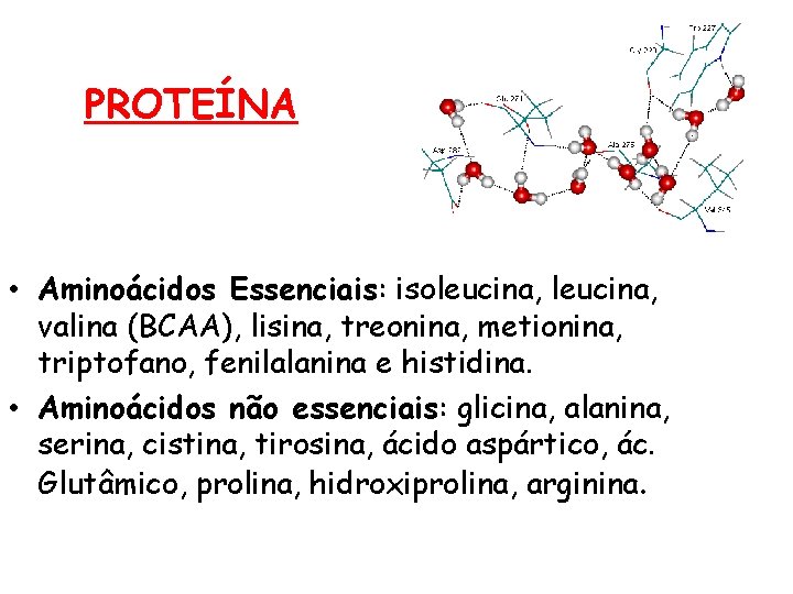 PROTEÍNA • Aminoácidos Essenciais: isoleucina, valina (BCAA), lisina, treonina, metionina, triptofano, fenilalanina e histidina.