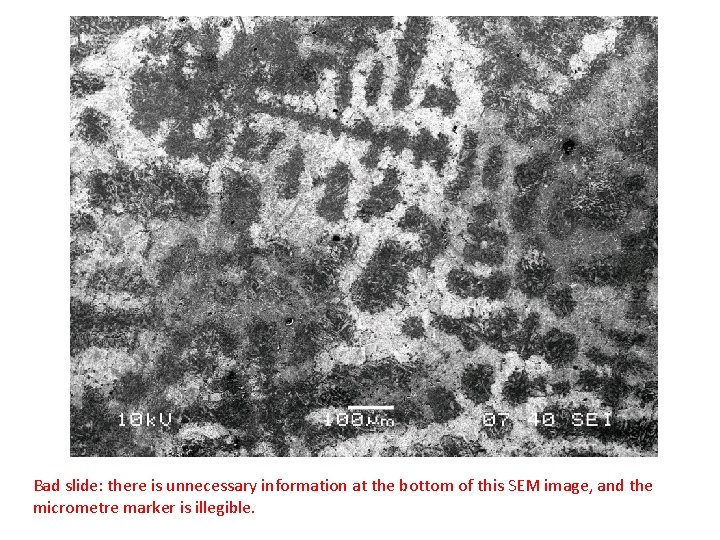 Bad slide: there is unnecessary information at the bottom of this SEM image, and
