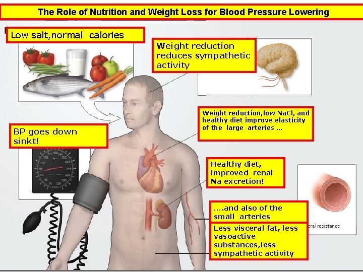 The Role of Nutrition and Weight Loss for Blood Pressure Lowering Low salt, normal