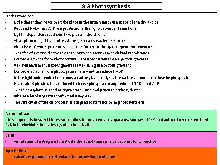 8. 3 Photosynthesis Understanding: Light-dependent reactions take place in the intermembrane space of the