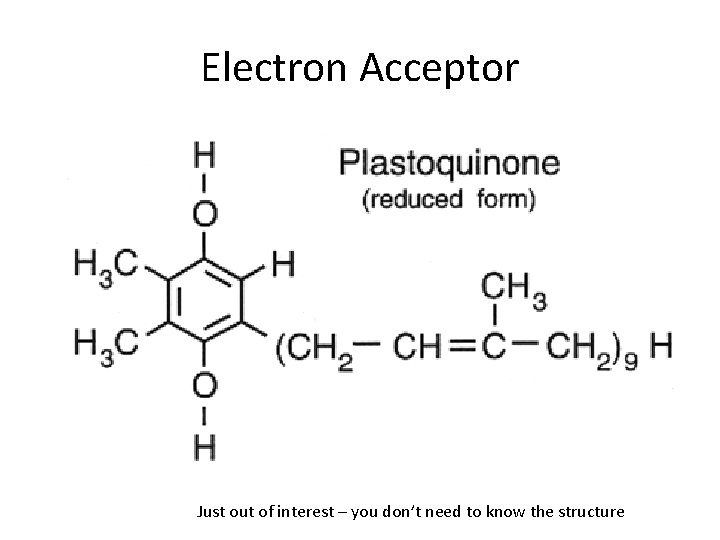 Electron Acceptor Just out of interest – you don’t need to know the structure