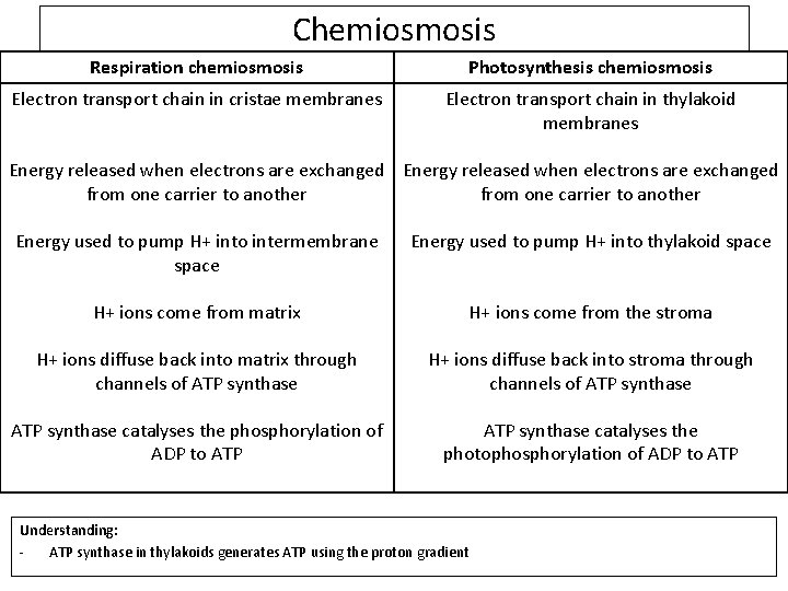 Chemiosmosis Respiration chemiosmosis Photosynthesis chemiosmosis Electron transport chain in cristae membranes Electron transport chain