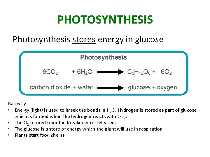 PHOTOSYNTHESIS Photosynthesis stores energy in glucose Basically…. . • Energy (light) is used to