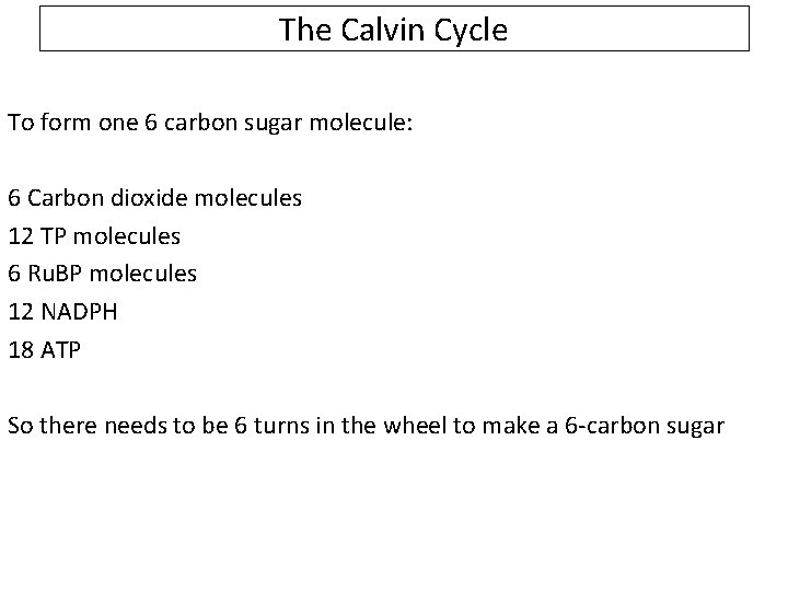 The Calvin Cycle To form one 6 carbon sugar molecule: 6 Carbon dioxide molecules