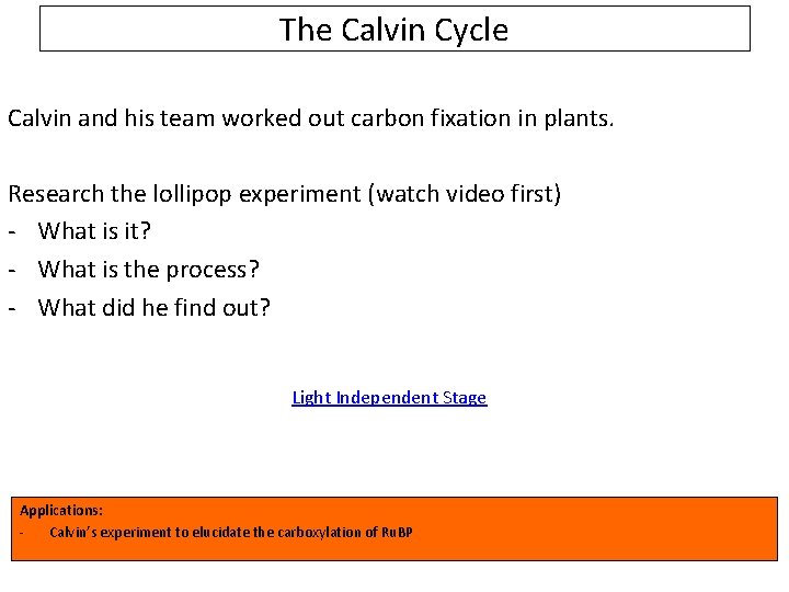 The Calvin Cycle Calvin and his team worked out carbon fixation in plants. Research