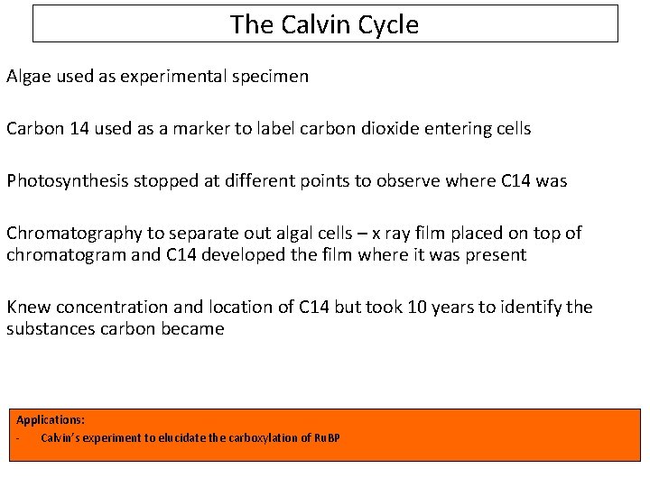 The Calvin Cycle Algae used as experimental specimen Carbon 14 used as a marker