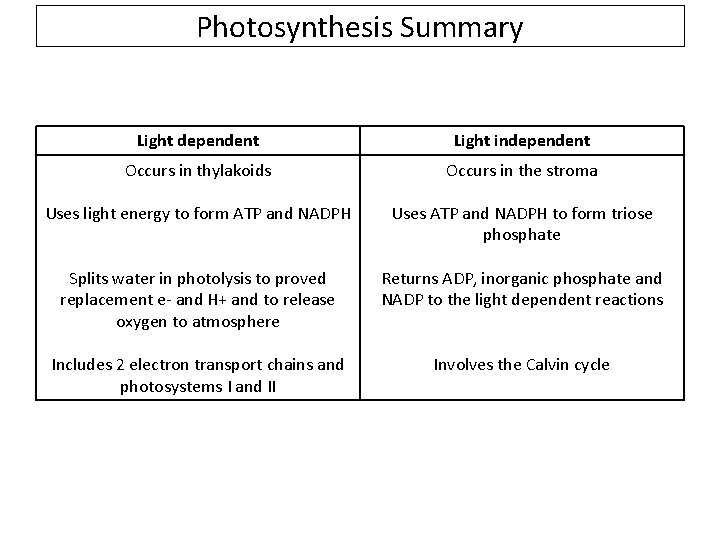 Photosynthesis Summary Light dependent Light independent Occurs in thylakoids Occurs in the stroma Uses