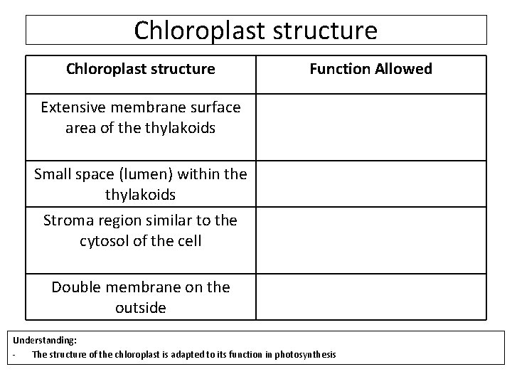 Chloroplast structure Function Allowed Extensive membrane surface area of the thylakoids Small space (lumen)