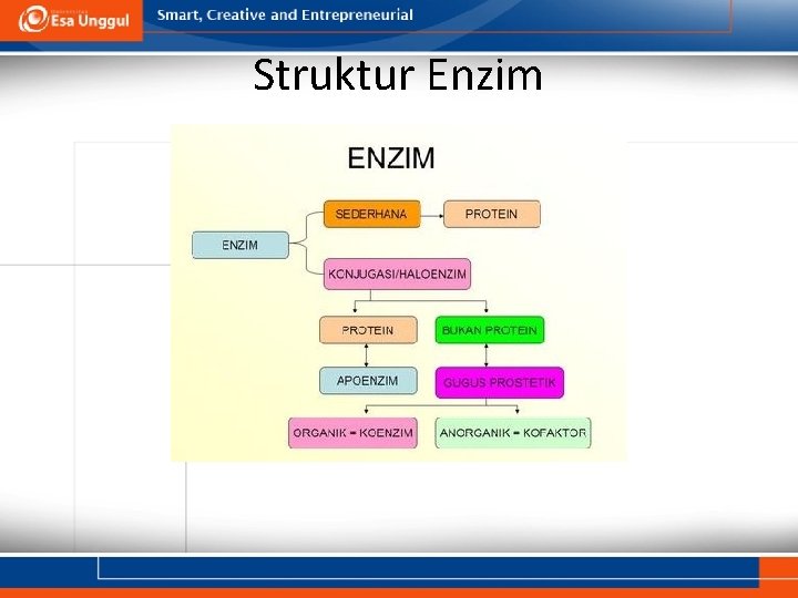 Struktur Enzim 