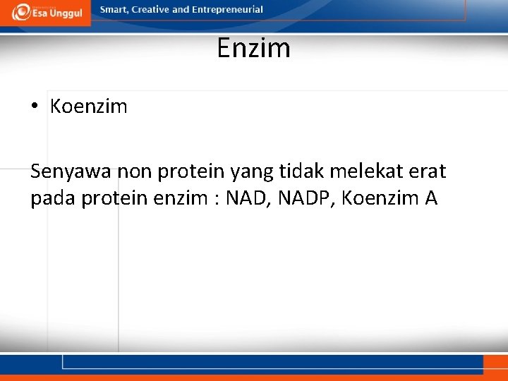 Enzim • Koenzim Senyawa non protein yang tidak melekat erat pada protein enzim :