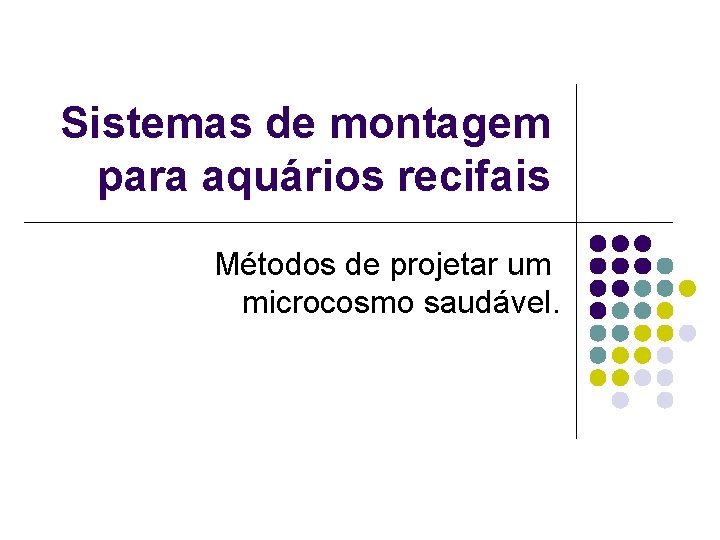 Sistemas de montagem para aquários recifais Métodos de projetar um microcosmo saudável. 