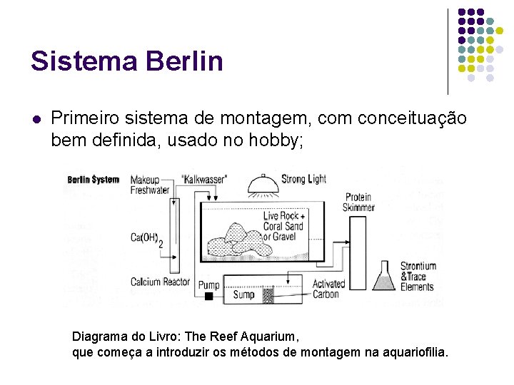 Sistema Berlin l Primeiro sistema de montagem, com conceituação bem definida, usado no hobby;