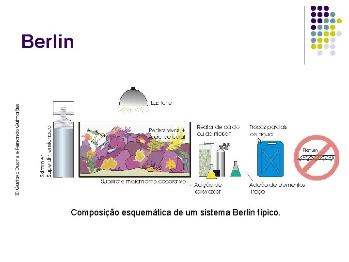 Berlin Composição esquemática de um sistema Berlin típico. 