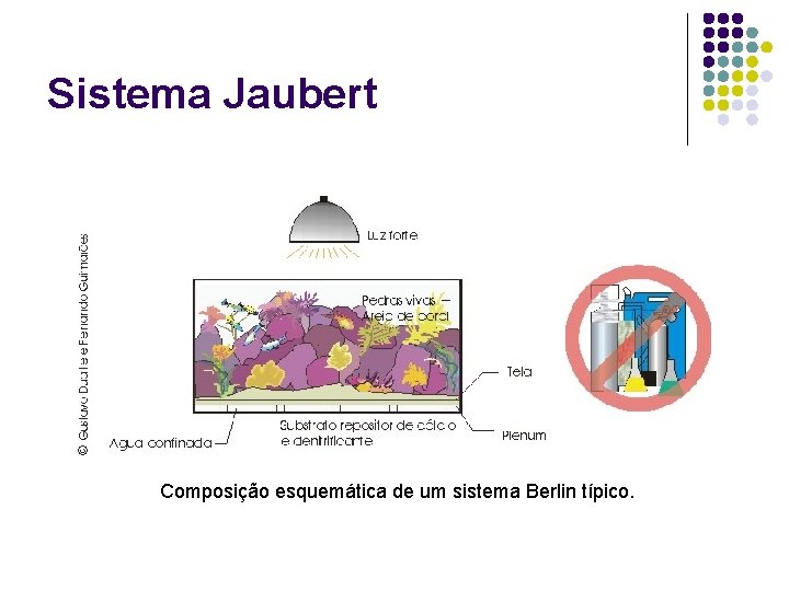 Sistema Jaubert Composição esquemática de um sistema Berlin típico. 
