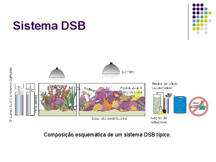Sistema DSB Composição esquemática de um sistema DSB típico. 