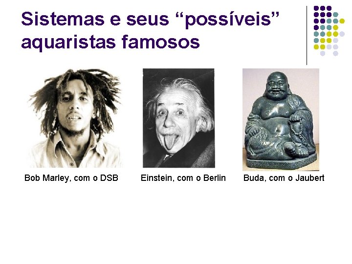Sistemas e seus “possíveis” aquaristas famosos Bob Marley, com o DSB Einstein, com o