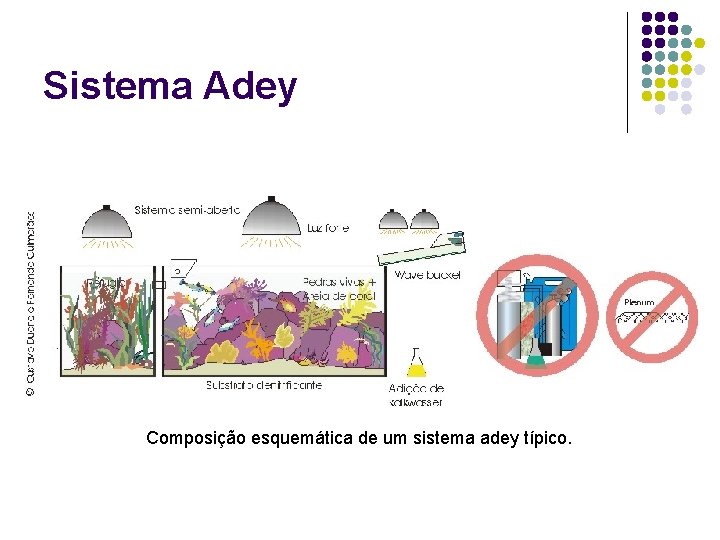 Sistema Adey Composição esquemática de um sistema adey típico. 