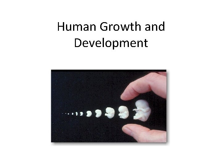 Human Growth and Development 