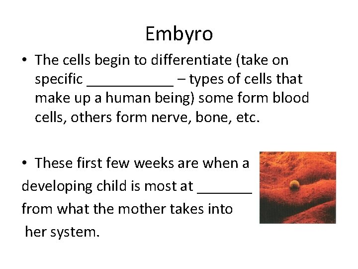 Embyro • The cells begin to differentiate (take on specific ______ – types of