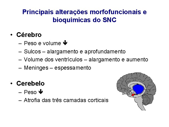Principais alterações morfofuncionais e bioquímicas do SNC • Cérebro – – Peso e volume