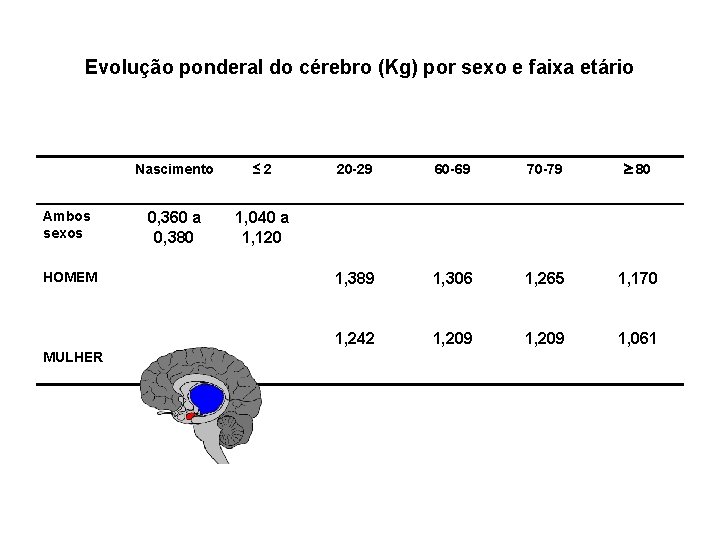 Evolução ponderal do cérebro (Kg) por sexo e faixa etário Ambos sexos HOMEM MULHER