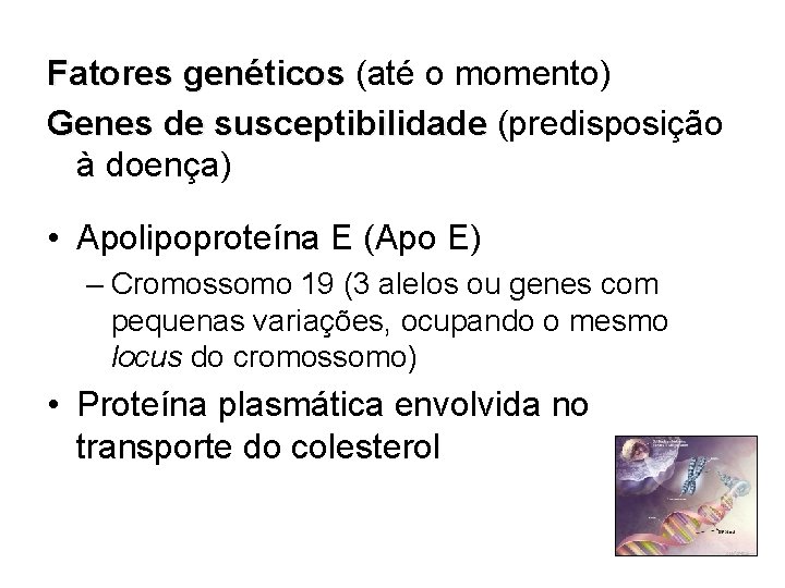 Fatores genéticos (até o momento) Genes de susceptibilidade (predisposição à doença) • Apolipoproteína E