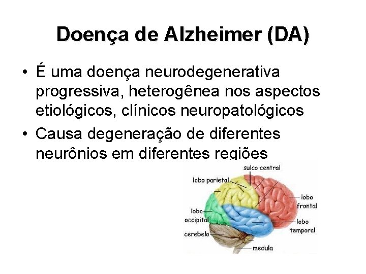 Doença de Alzheimer (DA) • É uma doença neurodegenerativa progressiva, heterogênea nos aspectos etiológicos,