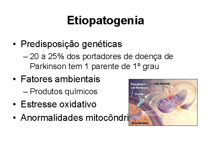 Etiopatogenia • Predisposição genéticas – 20 a 25% dos portadores de doença de Parkinson