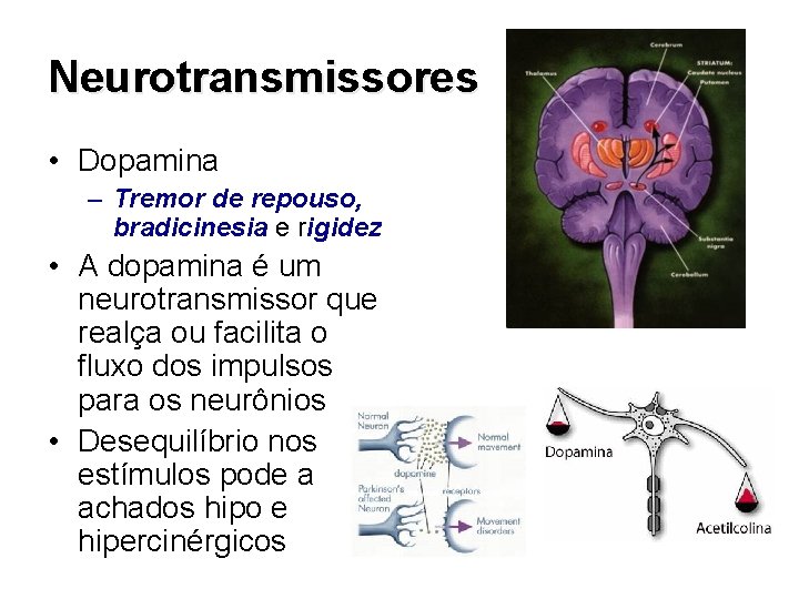 Neurotransmissores • Dopamina – Tremor de repouso, bradicinesia e rigidez • A dopamina é
