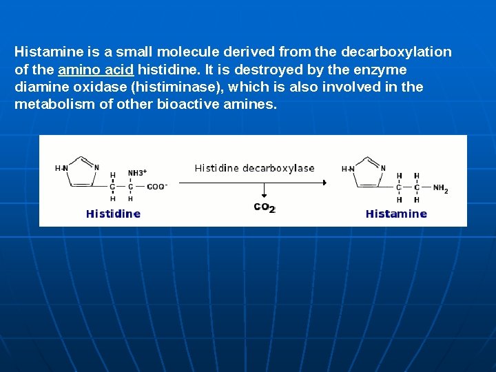 Histamine is a small molecule derived from the decarboxylation of the amino acid histidine.