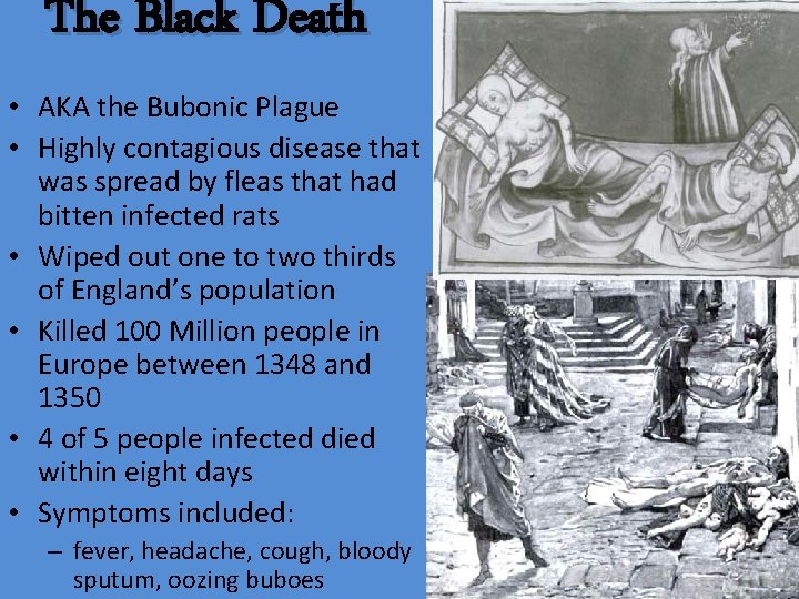 The Black Death • AKA the Bubonic Plague • Highly contagious disease that was