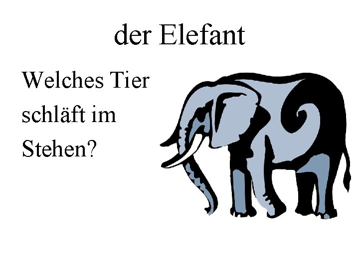 der Elefant Welches Tier schläft im Stehen? 