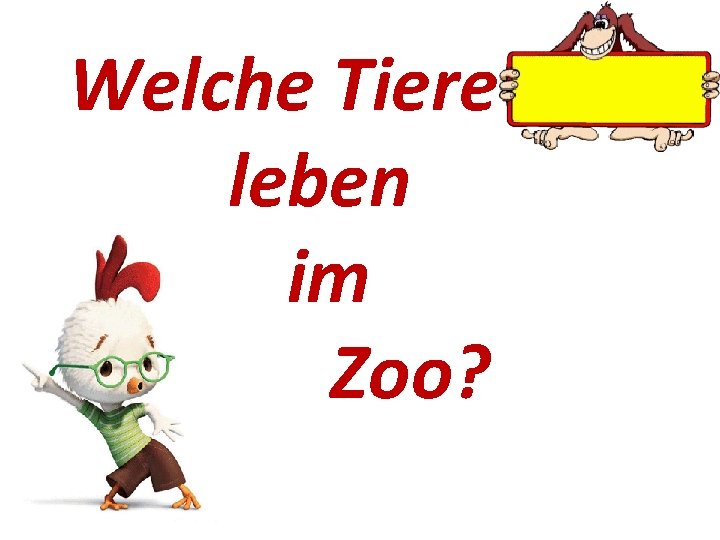 Welche Tiere leben im Zoo? 