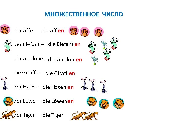 МНОЖЕСТВЕННОЕ ЧИСЛО der Affe – die Aff en der Elefant – die Elefant en