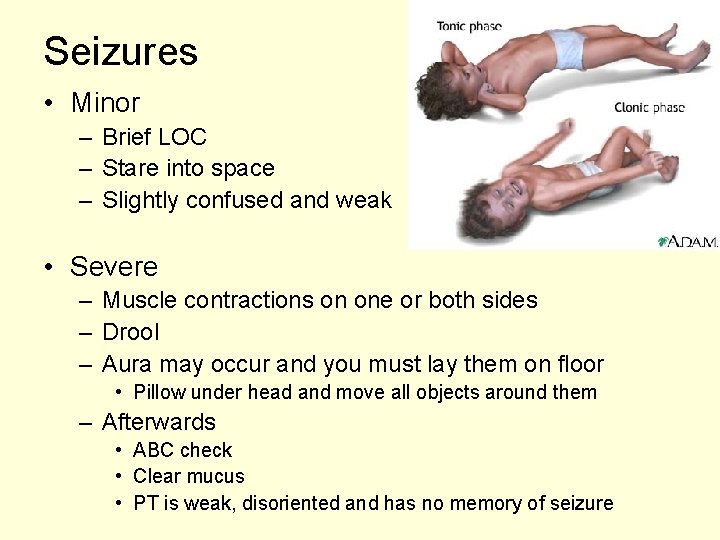 Seizures • Minor – Brief LOC – Stare into space – Slightly confused and