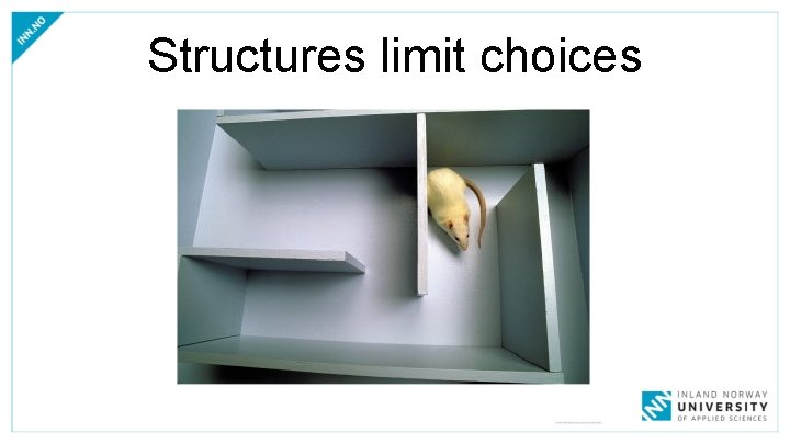 Structures limit choices 