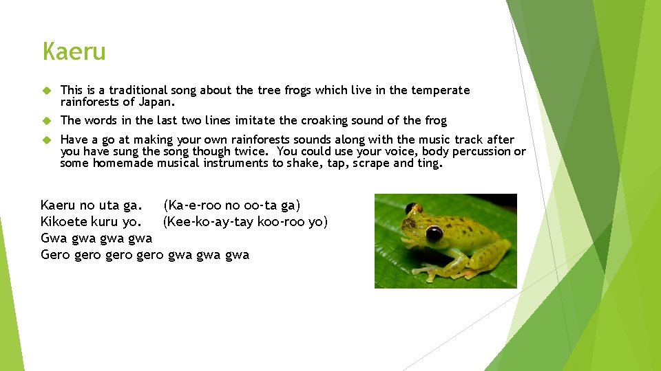 Kaeru This is a traditional song about the tree frogs which live in the