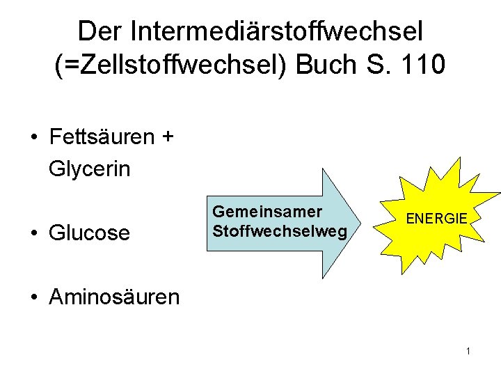 Der Intermediärstoffwechsel (=Zellstoffwechsel) Buch S. 110 • Fettsäuren + Glycerin • Glucose Gemeinsamer Stoffwechselweg