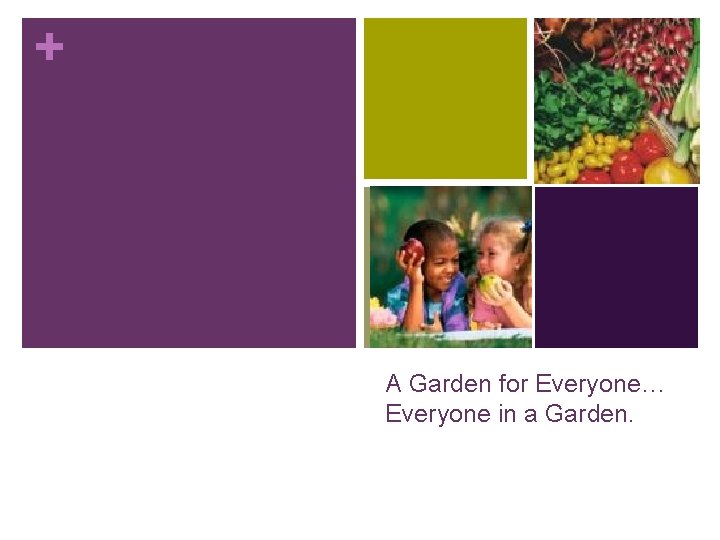 + A Garden for Everyone… Everyone in a Garden. 