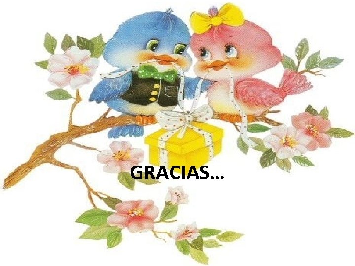 GRACIAS… 