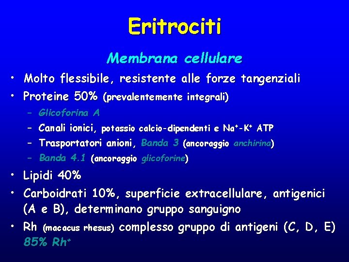 Eritrociti Membrana cellulare • Molto flessibile, resistente alle forze tangenziali • Proteine 50% (prevalentemente