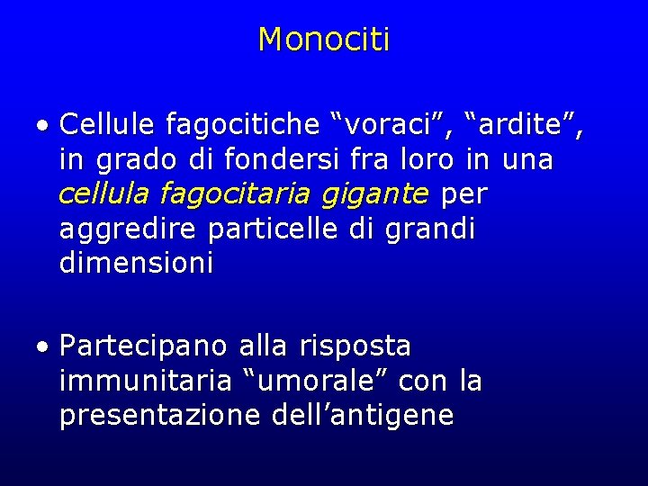 Monociti • Cellule fagocitiche “voraci”, “ardite”, in grado di fondersi fra loro in una