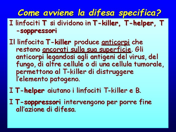 Come avviene la difesa specifica? I linfociti T si dividono in T-killer, T-helper, T