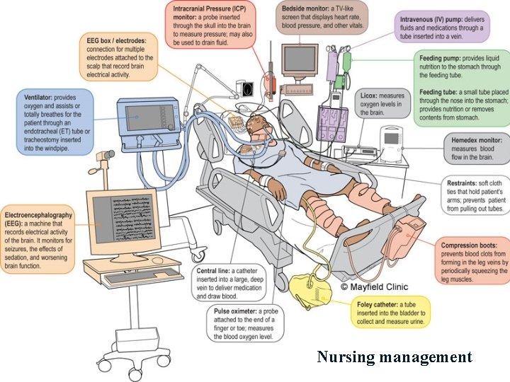 Nursing management 