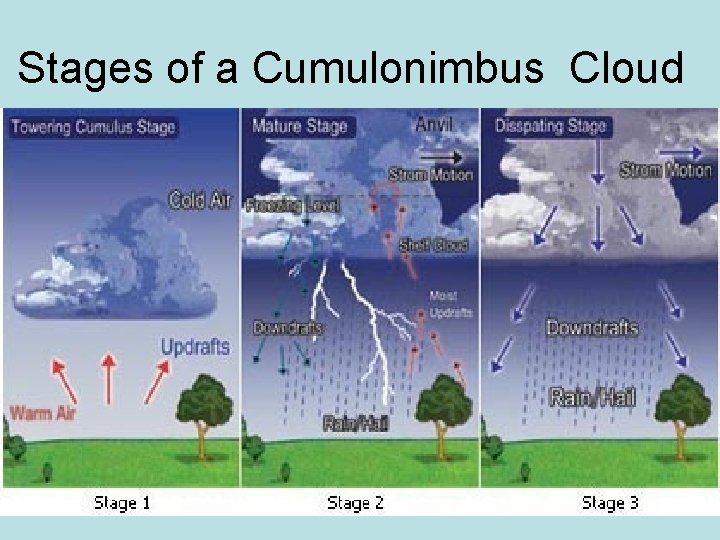 Stages of a Cumulonimbus Cloud 