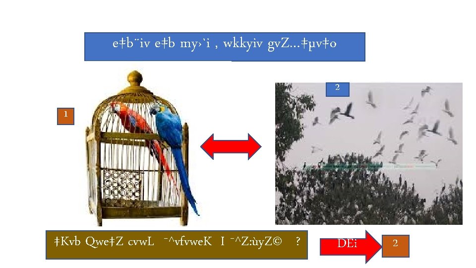 K L Bwjqv Q Nvmb Cavb Wkk Kvvcvov