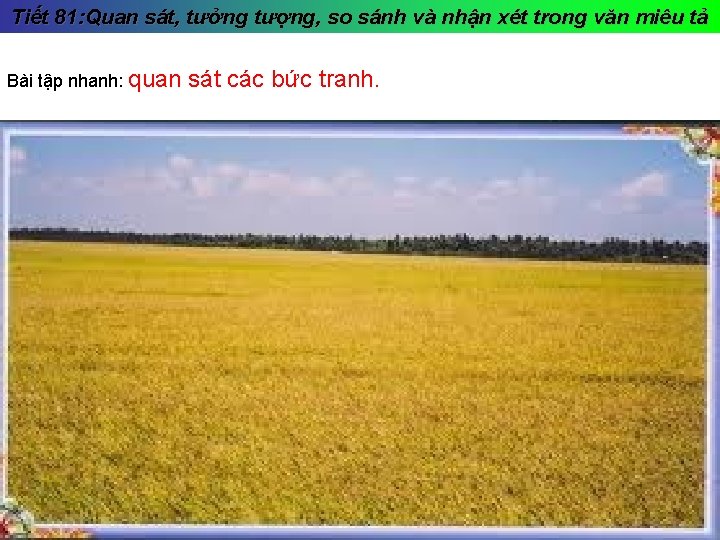 Tiết 81: Quan sát, tưởng tượng, so sánh và nhận xét trong văn miêu Tiết 81: Quan sát, tưởng tượng, so sánh và nhận xét trong văn miêu