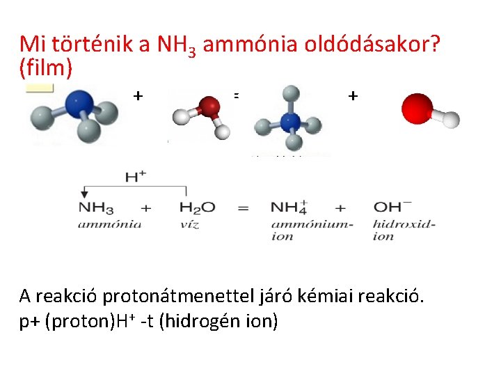 Mi történik a NH 3 ammónia oldódásakor? (film) + = + A reakció protonátmenettel