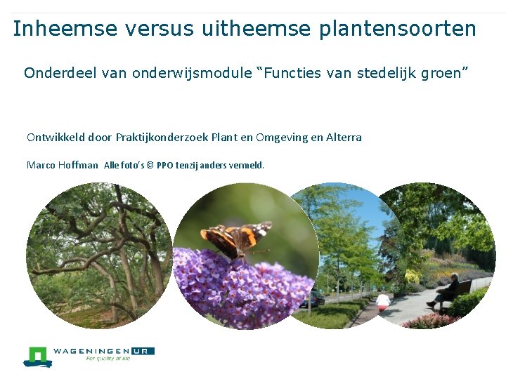 Inheemse versus uitheemse plantensoorten Onderdeel van onderwijsmodule “Functies van stedelijk groen” Ontwikkeld door Praktijkonderzoek